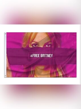 Free Britney Poster Flags with Brass Grommets 3x5 ft